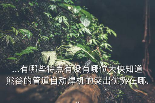 ...有哪些特點有沒有哪位大俠知道熊谷的管道自動焊機的突出優(yōu)勢在哪...