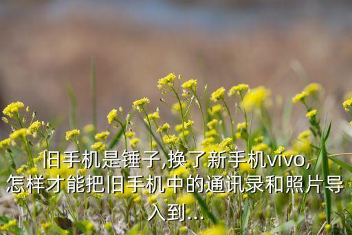 舊手機是錘子,換了新手機vivo,怎樣才能把舊手機中的通訊錄和照片導入到...