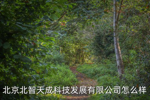 北京北智天成科技發(fā)展有限公司怎么樣