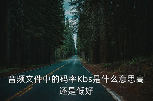 碼率是什么，音樂的碼率是什么