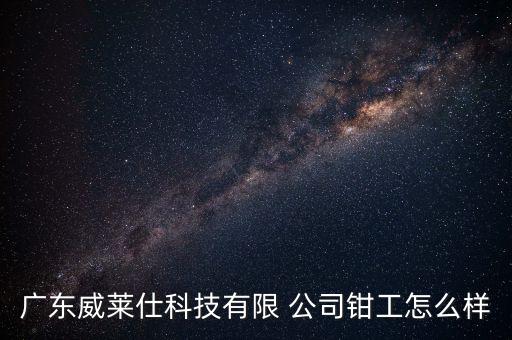 廣東威萊仕科技有限 公司鉗工怎么樣
