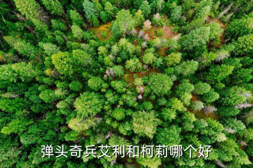 彈頭奇兵艾利和柯莉哪個(gè)好