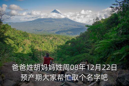 爸爸姓胡媽媽姓周08年12月22日預(yù)產(chǎn)期大家?guī)兔θ€名字吧