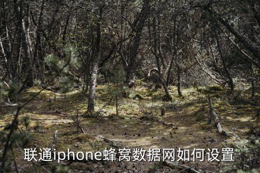 jk蜂窩移動(dòng)數(shù)據(jù)怎么設(shè)置,蘋(píng)果手機(jī)怎么設(shè)置蜂窩數(shù)據(jù)網(wǎng)絡(luò)?