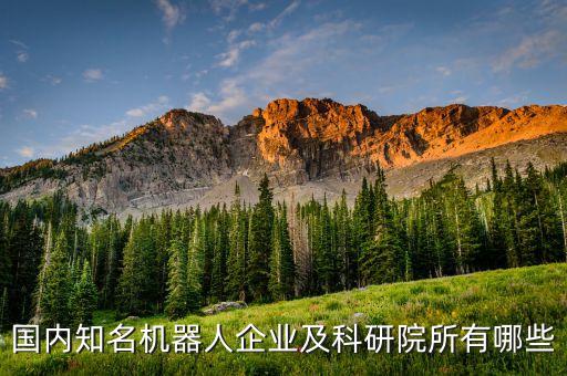 國(guó)內(nèi)知名機(jī)器人企業(yè)及科研院所有哪些