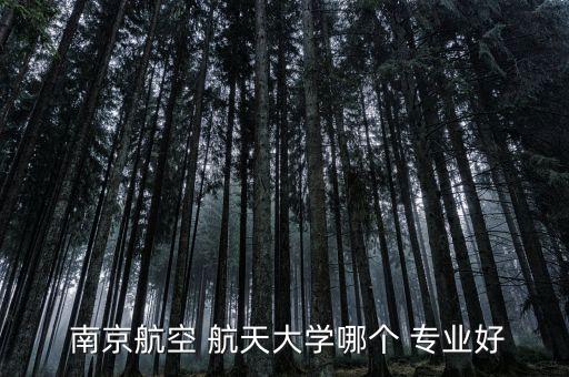  南京航空 航天大學(xué)哪個 專業(yè)好