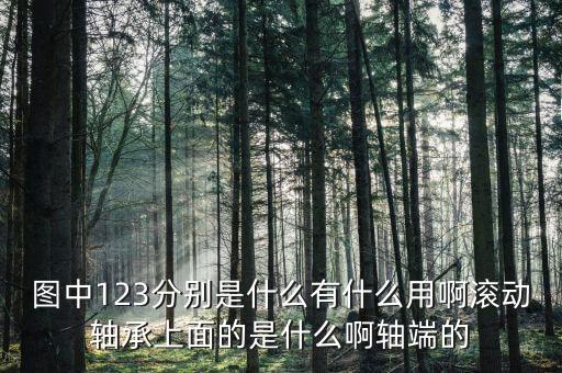 圖中123分別是什么有什么用啊滾動軸承上面的是什么啊軸端的