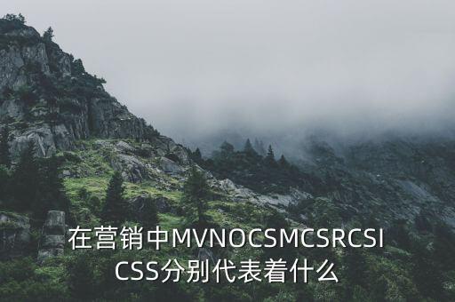 MVNO，在營(yíng)銷中MVNOCSMCSRCSICSS分別代表著什么