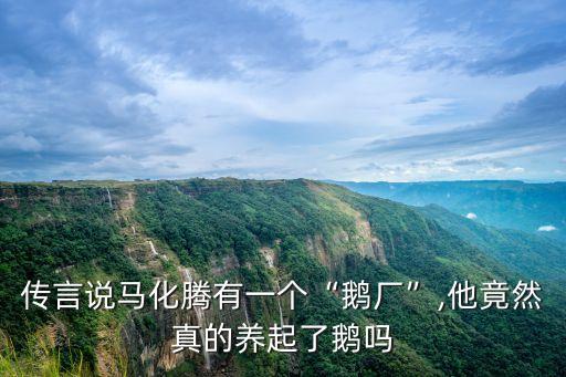 騰訊覓影,騰訊海納正式發(fā)布首個(gè)智慧社區(qū)開(kāi)放平臺(tái)