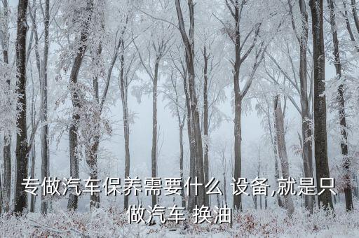 專做汽車保養(yǎng)需要什么 設(shè)備,就是只做汽車 換油