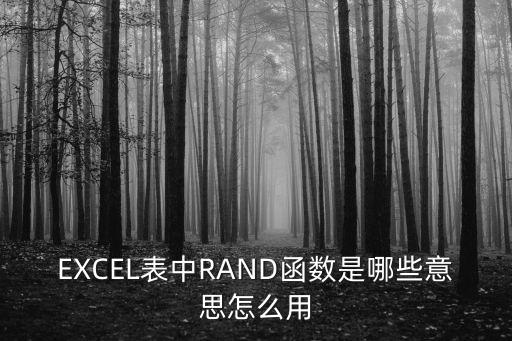 EXCEL表中RAND函數(shù)是哪些意思怎么用