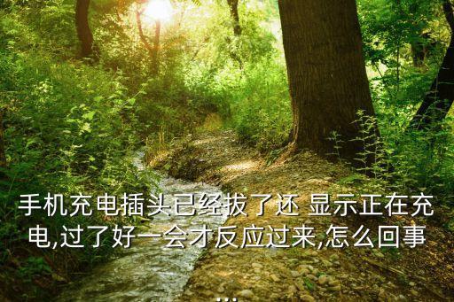 數(shù)據(jù)線拔了還是顯示在充電器,經(jīng)常拔充電器的數(shù)據(jù)線會壞嗎