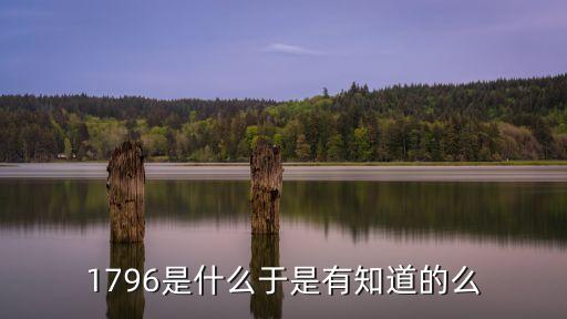 1796是什么于是有知道的么