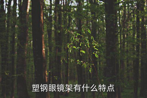塑鋼眼鏡架有什么特點
