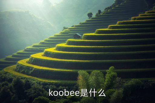 koobee，啥是koobee