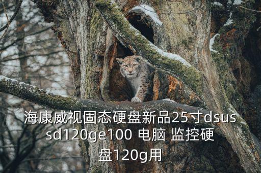?？低暪虘B(tài)硬盤(pán)新品25寸dsussd120ge100 電腦 監(jiān)控硬盤(pán)120g用
