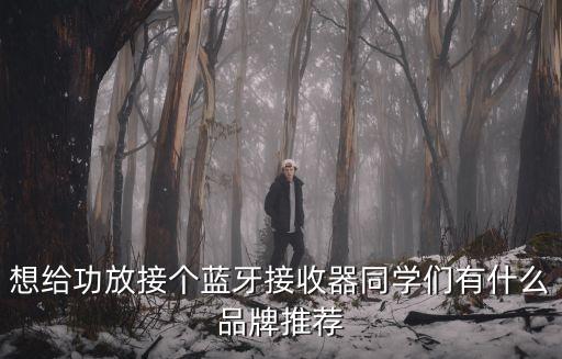音頻接收器，藍(lán)牙音頻接收器哪款好
