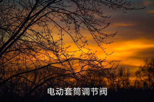 電動(dòng)套筒調(diào)節(jié)閥