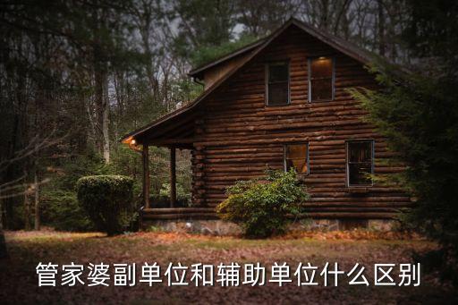 管家婆副單位和輔助單位什么區(qū)別