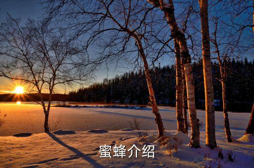 drone，Drne什么意思