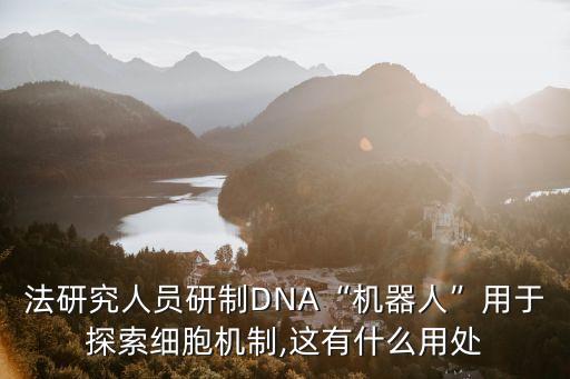 折疊 機器人,納米機器人可以自我折疊嗎?