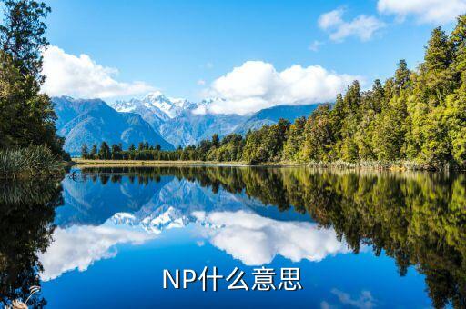 NP什么意思