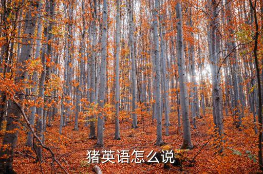 豬英語(yǔ)怎么說(shuō)