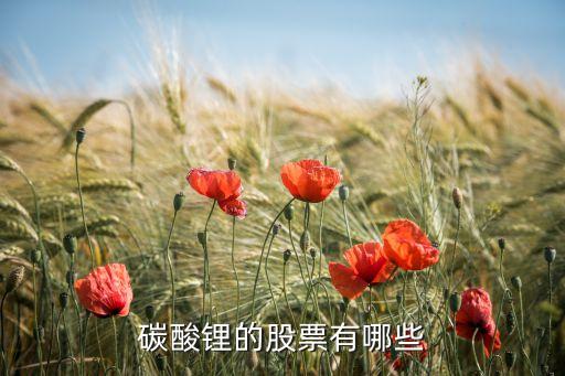 碳酸鋰的股票有哪些