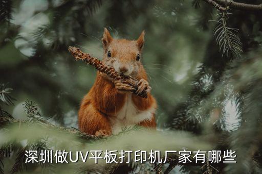 深圳市尚源自動化有限公司