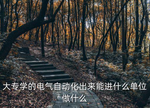 大專學的電氣自動化出來能進什么單位做什么