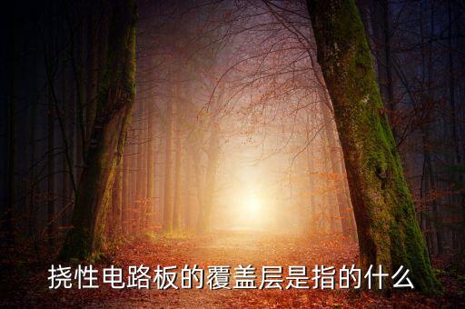 撓性電路板的覆蓋層是指的什么