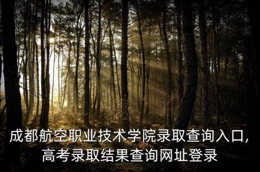 成都航空職業(yè)技術(shù)學(xué)院錄取查詢?nèi)肟?高考錄取結(jié)果查詢網(wǎng)址登錄