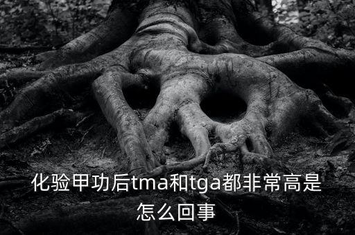 化驗(yàn)甲功后tma和tga都非常高是怎么回事