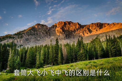  套筒大飛小飛中飛的區(qū)別是什么