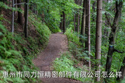 惠州市同力恒精密部件有限公司怎么樣