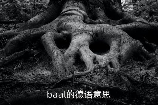 Baal，BAAl是什么單詞什么神