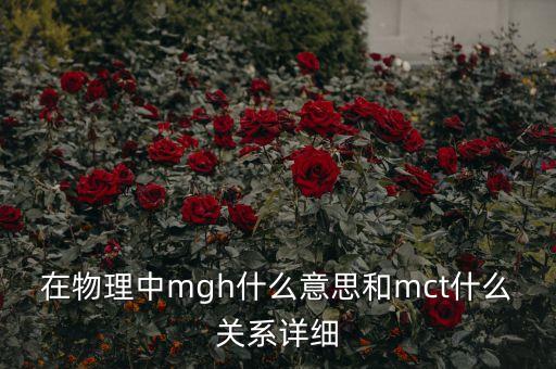 mgh，MGH什么意思