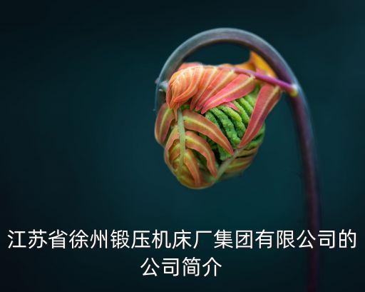江蘇省徐州鍛壓機床廠集團有限公司的公司簡介