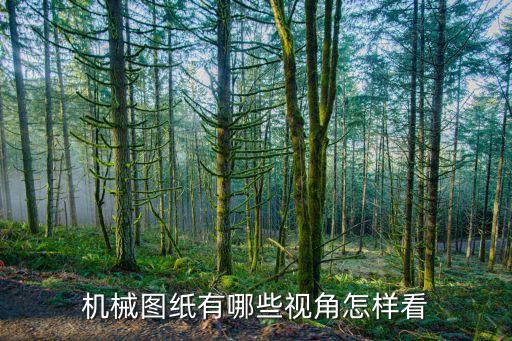 磕頭機(jī)圖片，油田磕頭機(jī)是高壓電機(jī)還是低壓電機(jī)