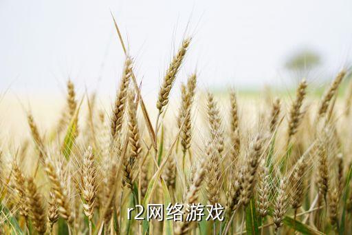 r2網(wǎng)絡(luò)游戲