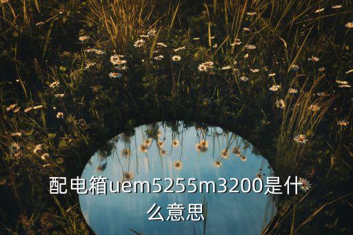 配電箱uem5255m3200是什么意思