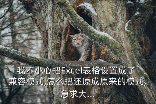 我不小心把Excel表格設(shè)置成了 兼容模式,怎么把還原成原來的模式,急求大...