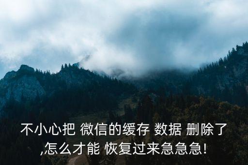 不小心把 微信的緩存 數(shù)據(jù) 刪除了,怎么才能 恢復(fù)過來急急急!
