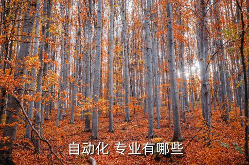 自動(dòng)化專業(yè)人工智能方向