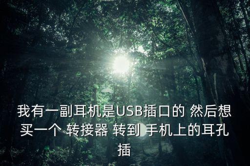 耳機轉(zhuǎn)接頭，我有一副耳機是USB插口的 然后想買一個 轉(zhuǎn)接器 轉(zhuǎn)到 手機上的耳孔插