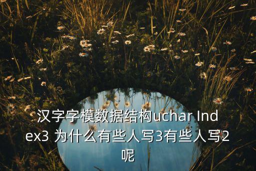 漢字字模數(shù)據(jù)結(jié)構(gòu)uchar Index3 為什么有些人寫3有些人寫2呢