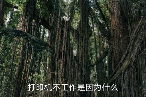 打印機不工作，打印機不正常工作了怎么回事