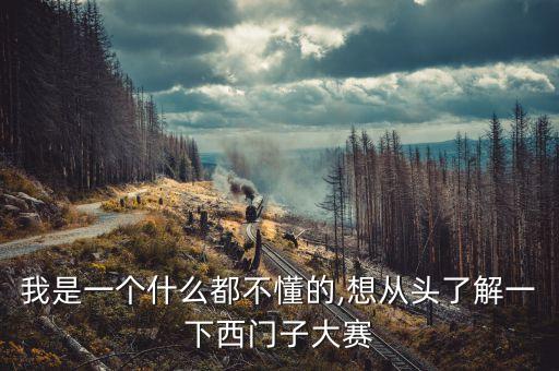 我是一個什么都不懂的,想從頭了解一下西門子大賽
