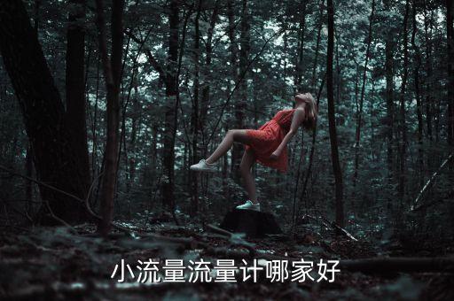 小型工業(yè)自動化公司,KEBA工業(yè)自動化公司