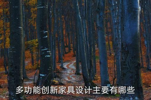 多功能創(chuàng)新家具設(shè)計(jì)主要有哪些
